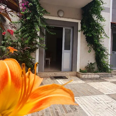 A Cheerful With Free Parking Space Apartment *