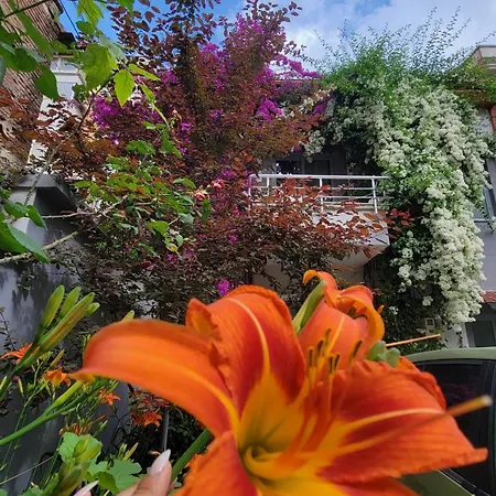 Lägenhet A Cheerful With Free Parking Space