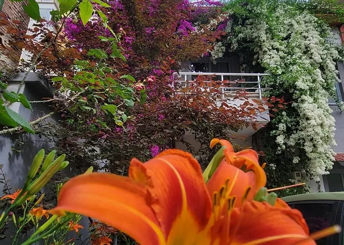 Appartement A Cheerful With Free Parking Space